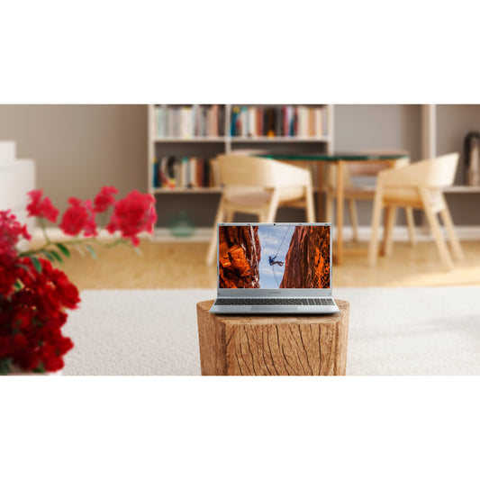 Portátil MEDION Akoya® E15301, 15,6”, AMD Ryzen™ 3 3200U, 8 GB RAM, 256 GB SSD, Cinzento